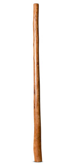 CrookedStixz Didgeridoo (AH395)